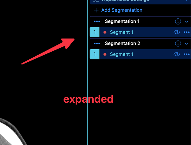 panelSegmentation.tableMode-2